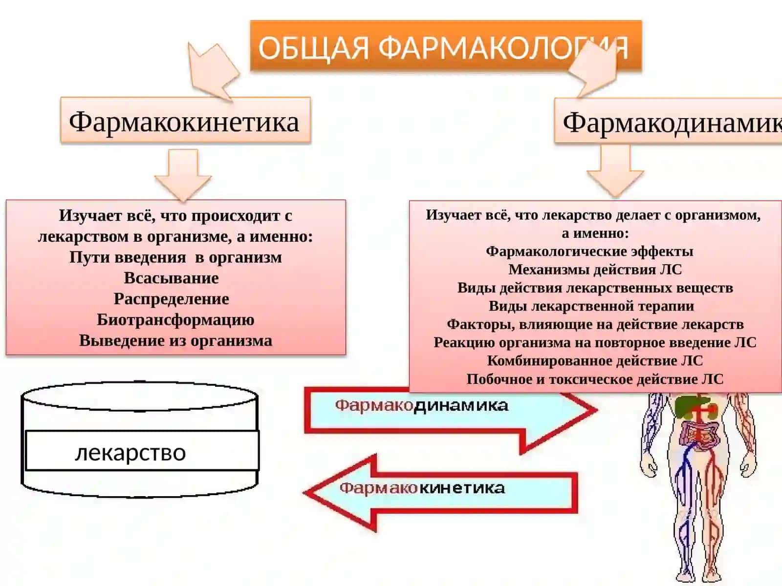 ОБЩАЯ ФАРМАКОЛОГИЯ 3