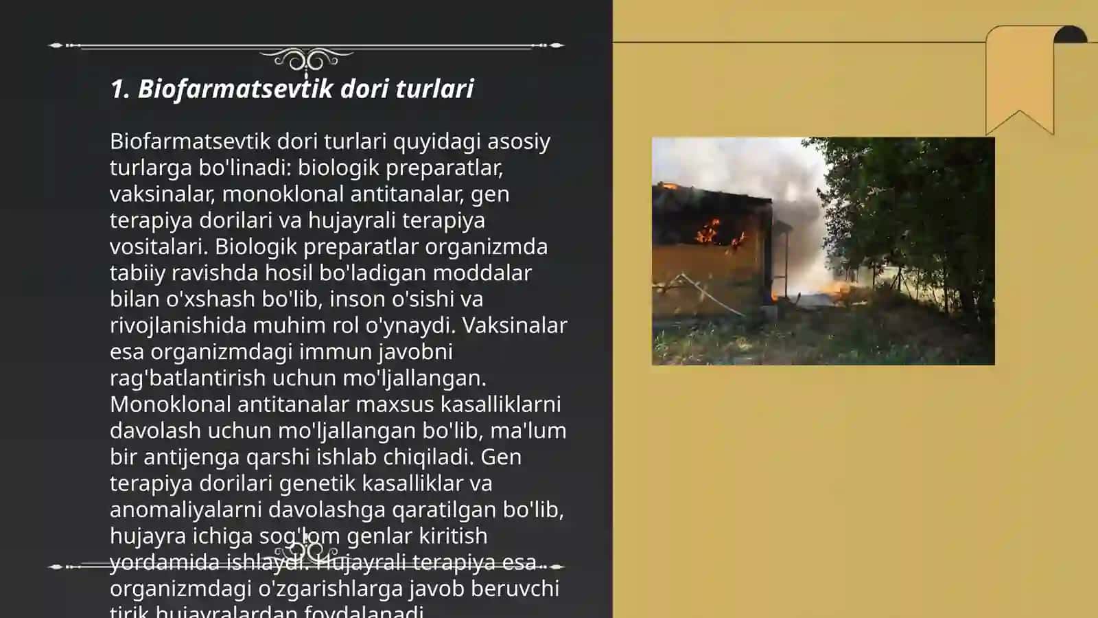 Biofarmatsevtik dori turlari 3