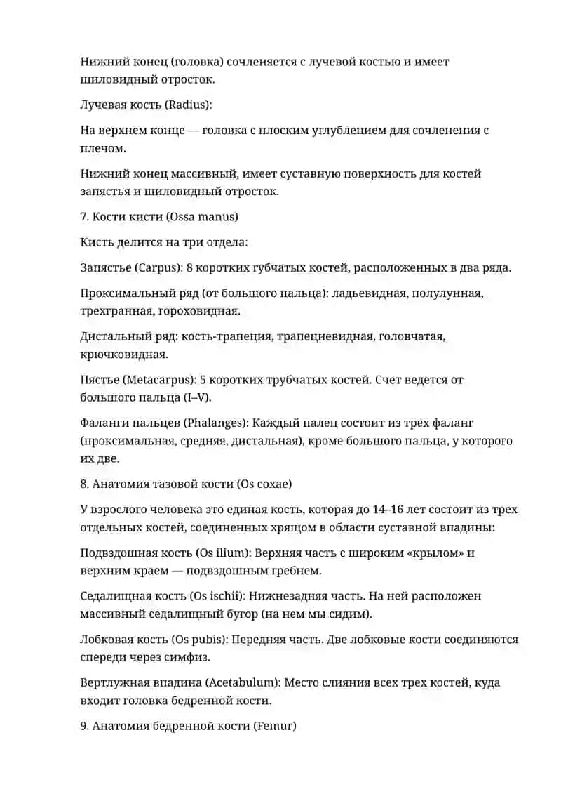 Анатомия остеология 3