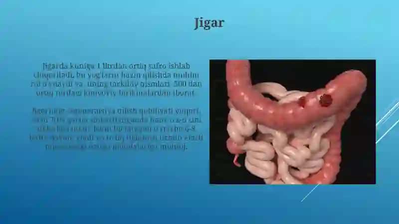Jigar 3