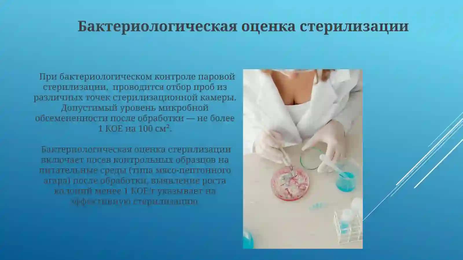 Бактериологик тахлилнома 3