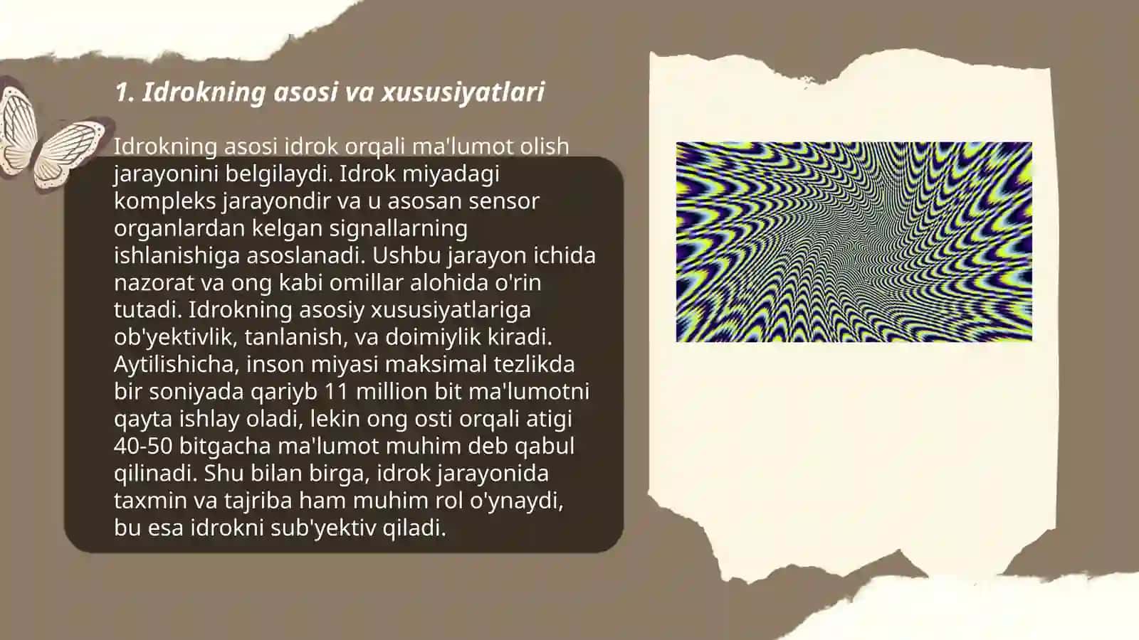 Idrok va illuziya 3