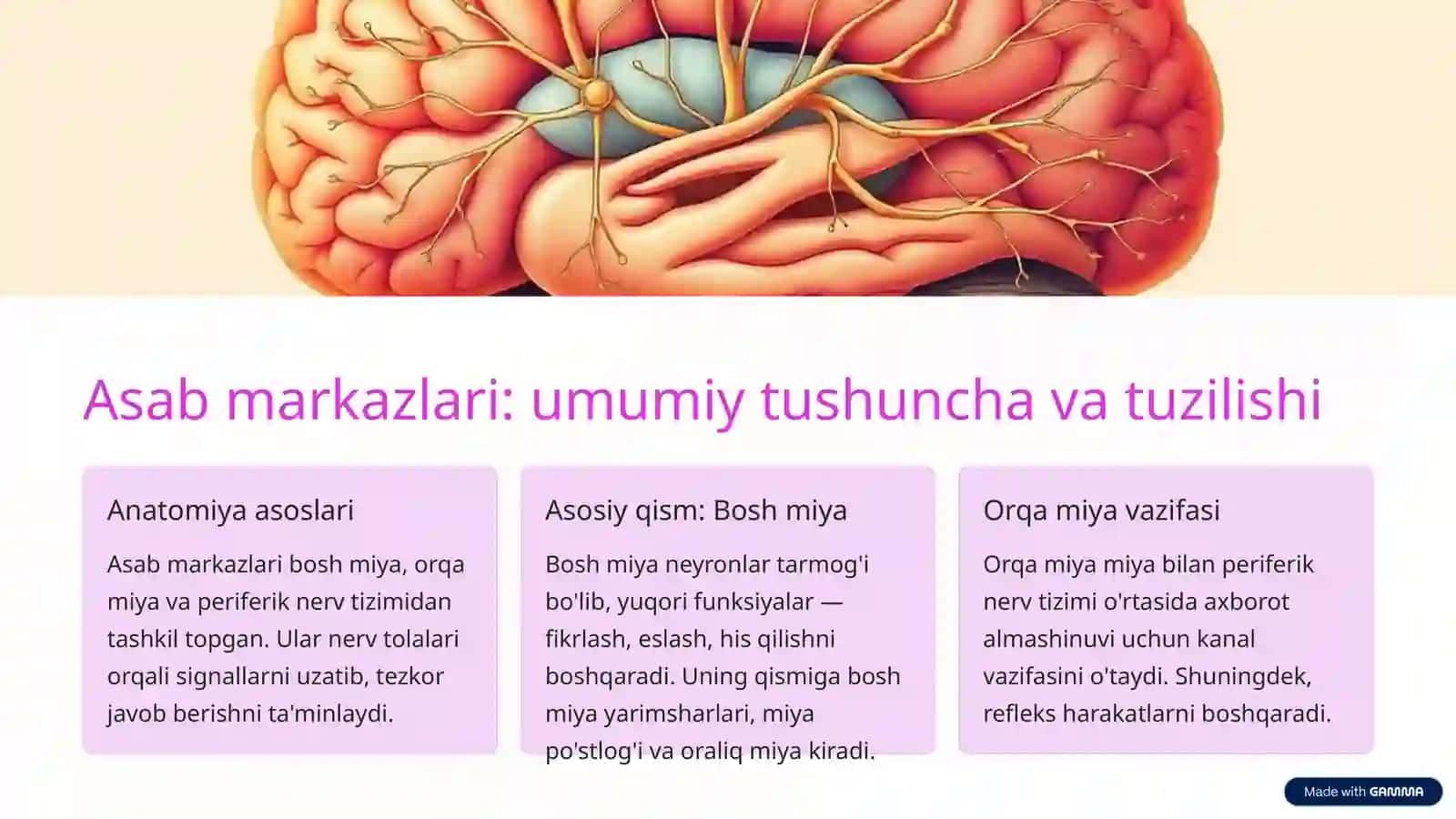 Asab markazlarining o'ziga xosligi 3