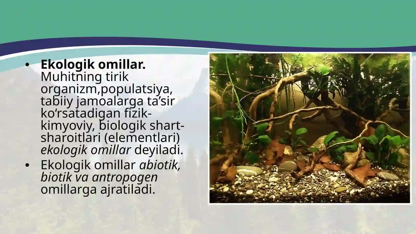 Muhit omillari va ularning tasnifi 3