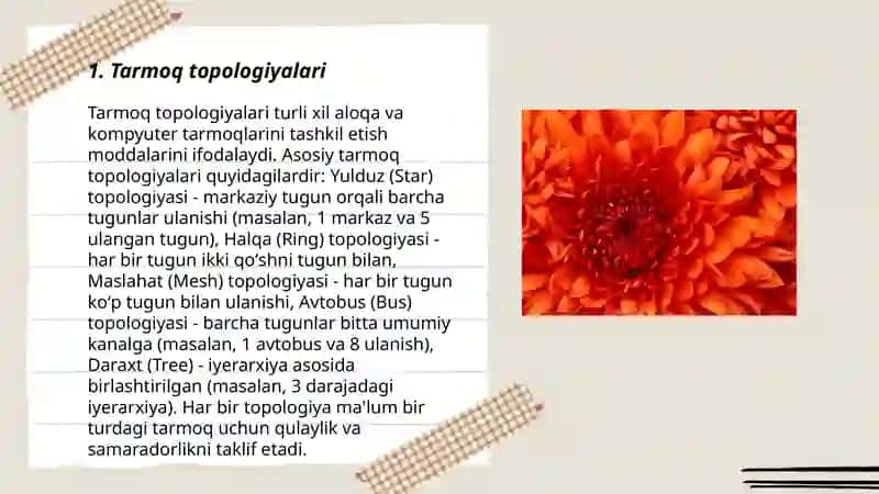 Tarmoq topologiyalari 3