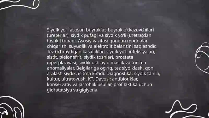 Siydik yo‘li anatomiyasi va kasalliklari 3