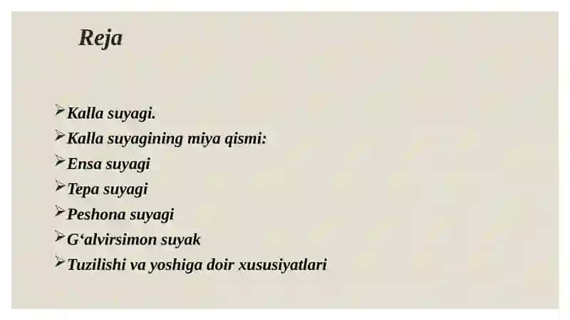 Kallasuyagi 3