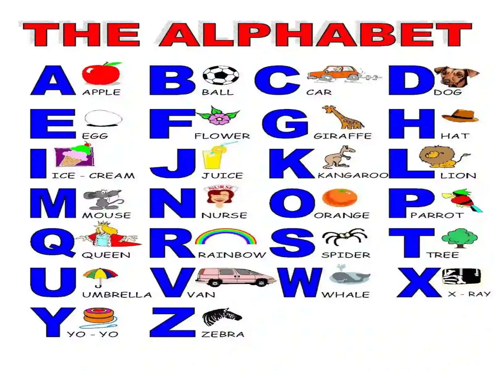 THE ENGLISH APLHABET(for beginners) 3