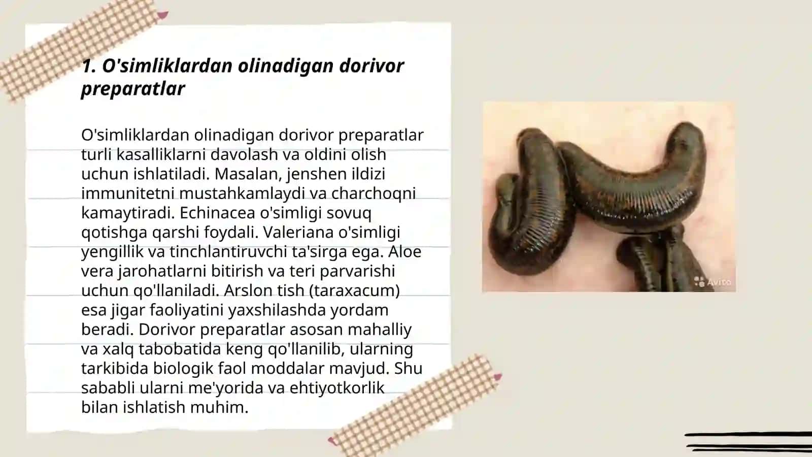 O'simliklardan olinadigan dorivor preparatlar 3