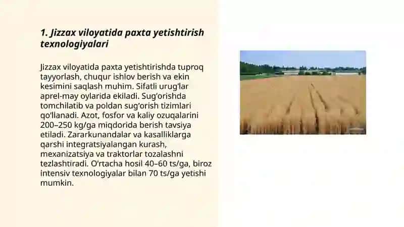 Paxta yetishtirish texnologiyalari 3