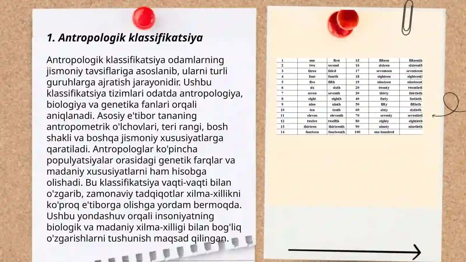 Dunyo xalqlari klassifikatsiyasi 3