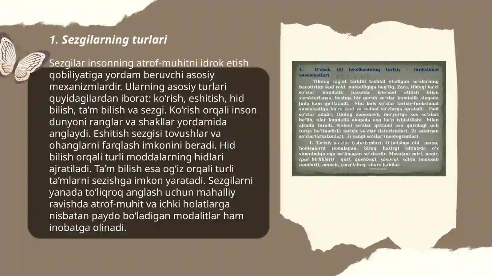 Sezgilarning turlari va tasnifi 3