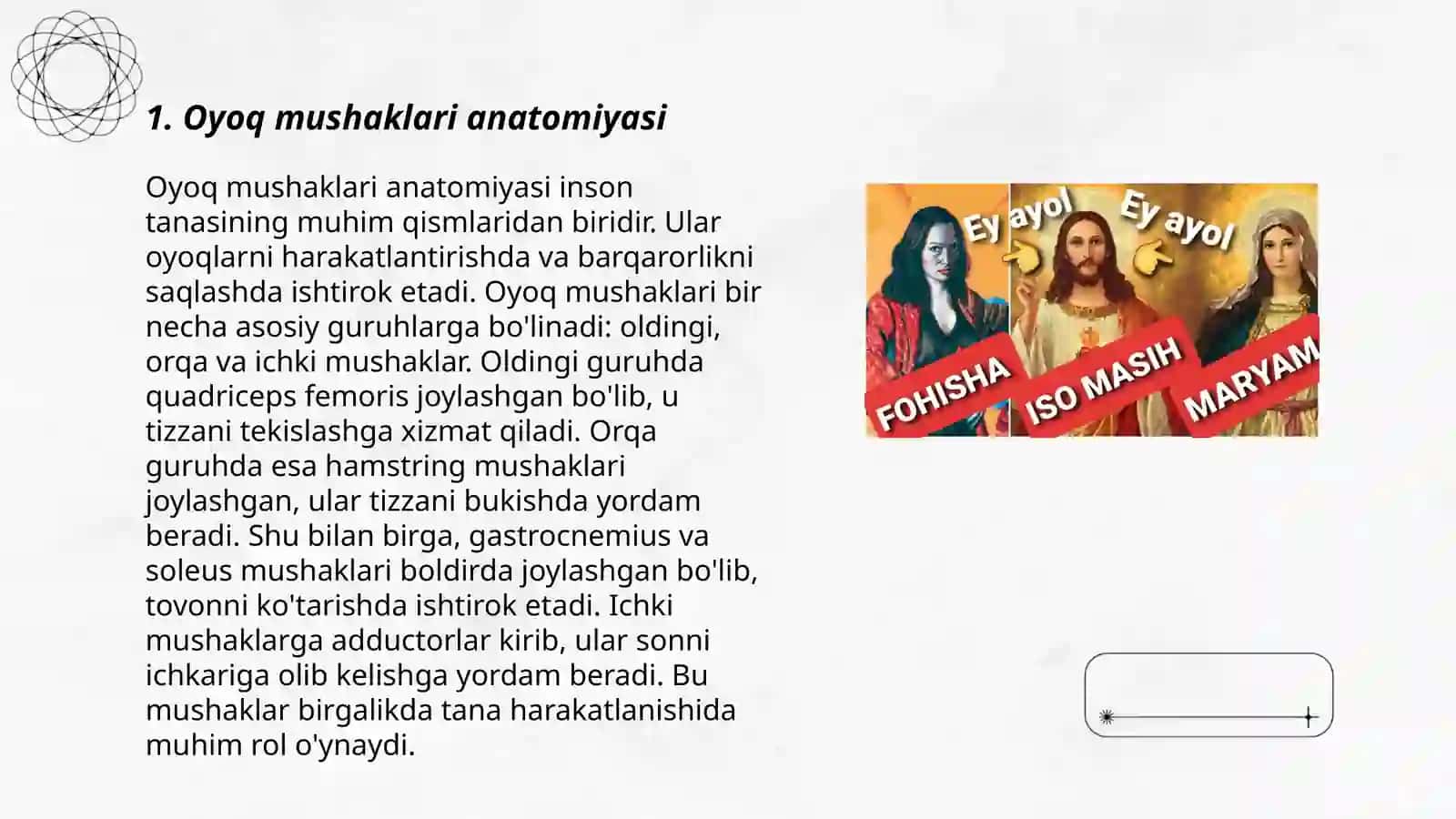 Oyoq mushaklari anatomiyasi 3