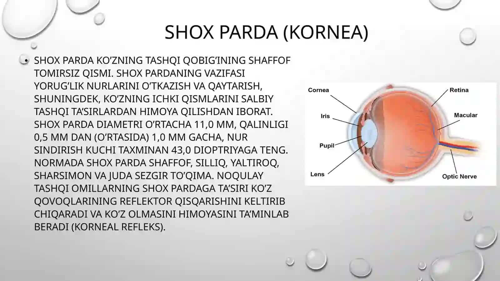 Shox pardaning kasbiy zararlanishi va uning profilaktikasi 3