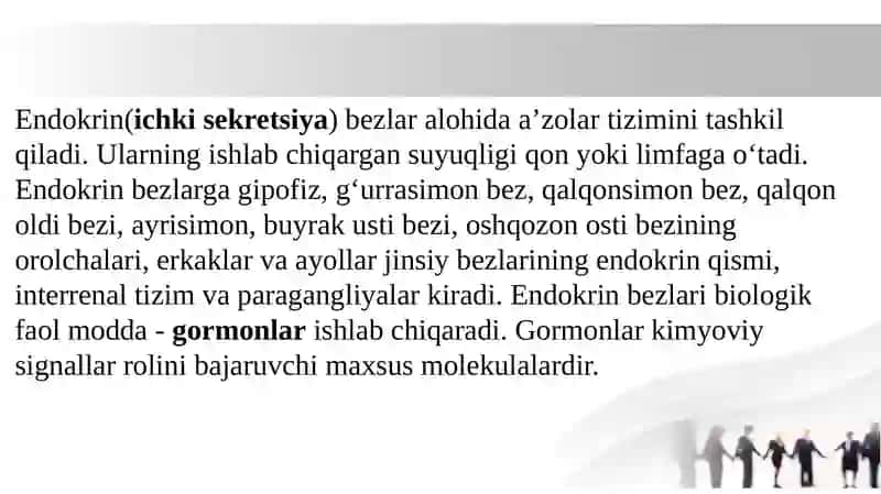 Endokrin bezlar va siydik chiqaruv a’zolarining anatomiyasi. 3