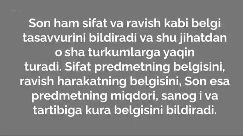 Son so’z turkumi. Sonning ma’no turlari 3