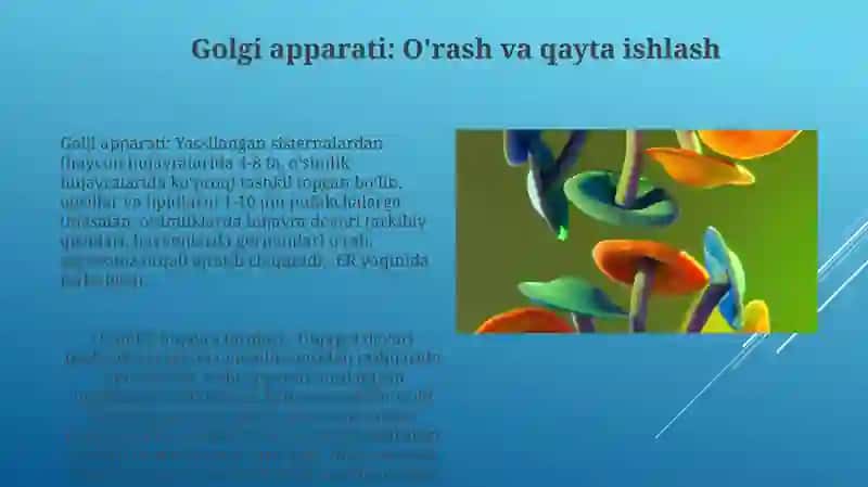 Golgi apparati: O'rash va qayta ishlash 3