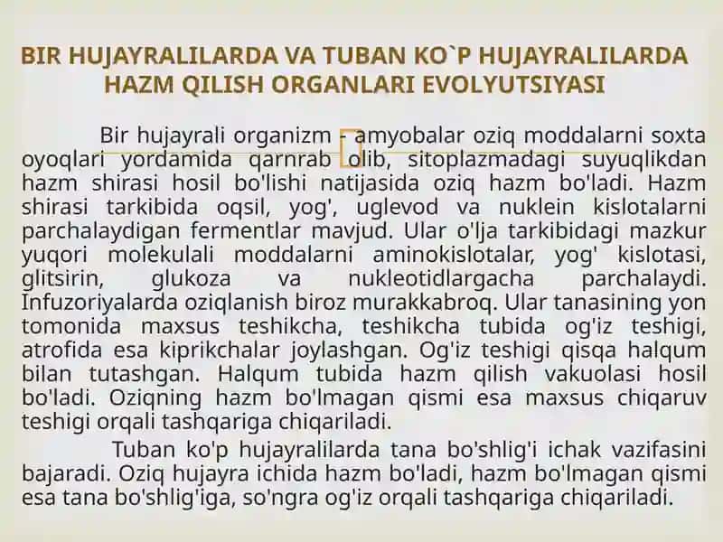 HAYVONLARNING HAZM QILISH ORGANLARI EVOLUTSIYASI 3