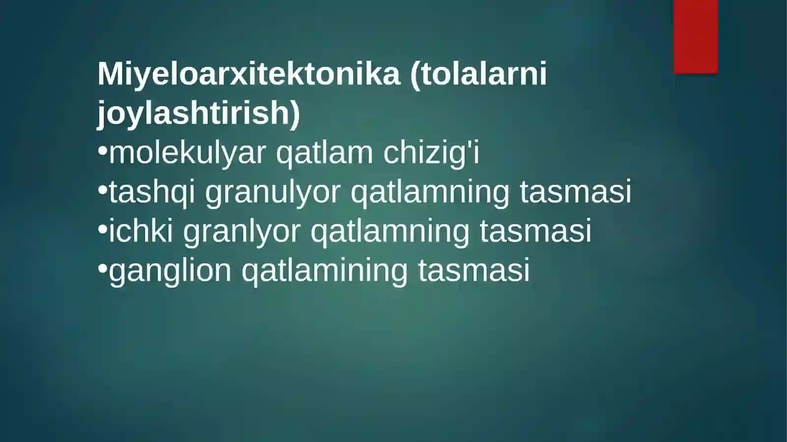 Miyayarimkorteksi 3
