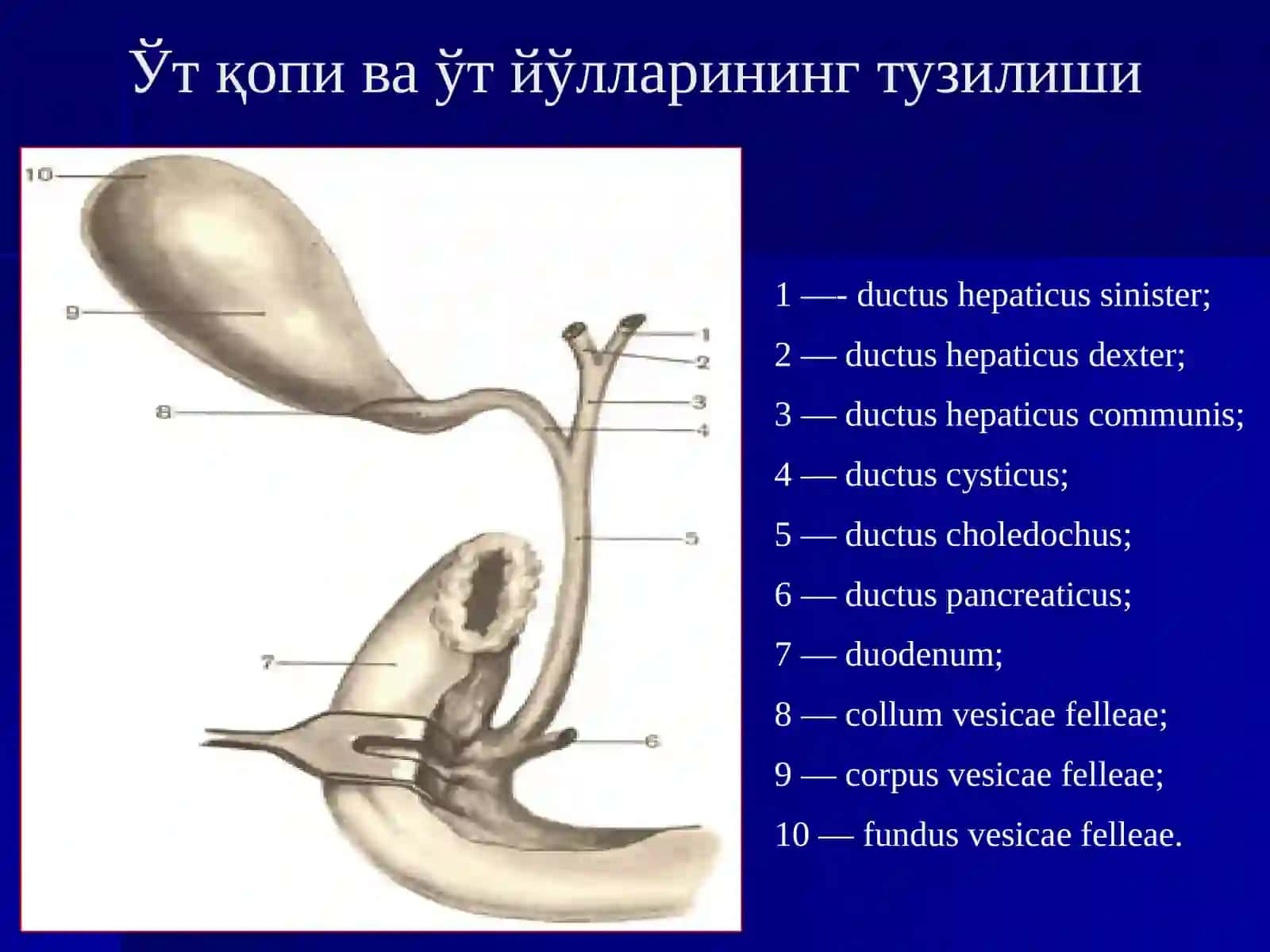 ЎТКИР ХОЛЕЦИСТИТ ВА УНИНГ АСОРАТЛАРИ 3