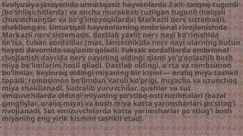 Afferent nerv tizimiga ta'sir etuvchi vositalar 3