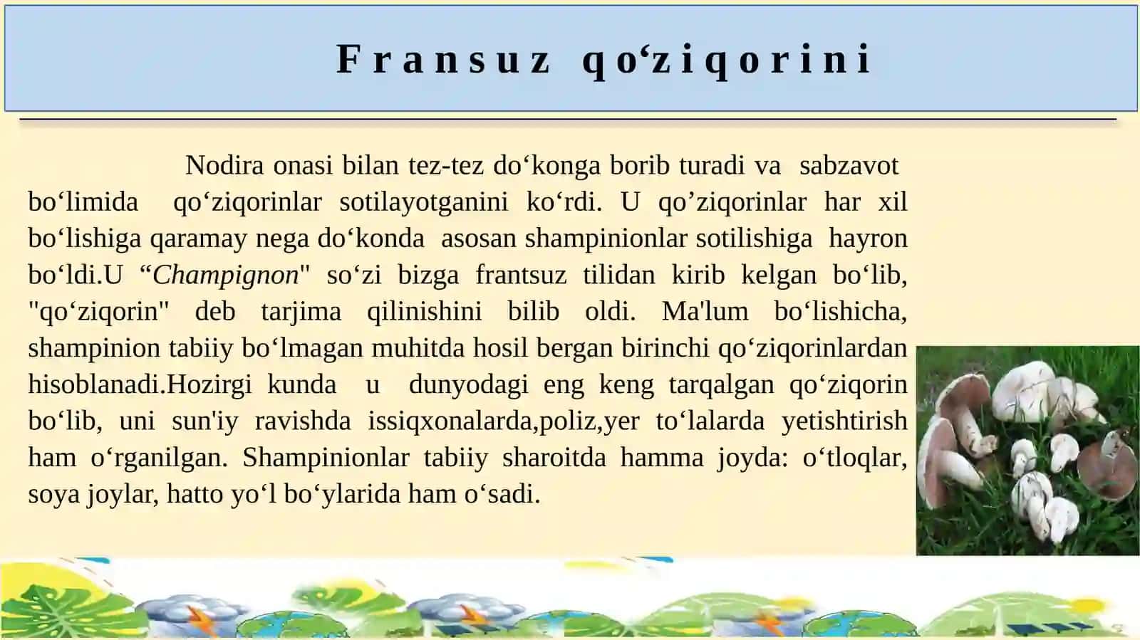 Zamburug‘lar dunyosi 3
