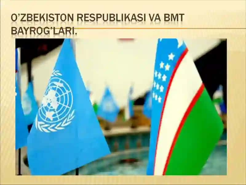 Birlashgan millatlar tashkiloti (BMT) 3