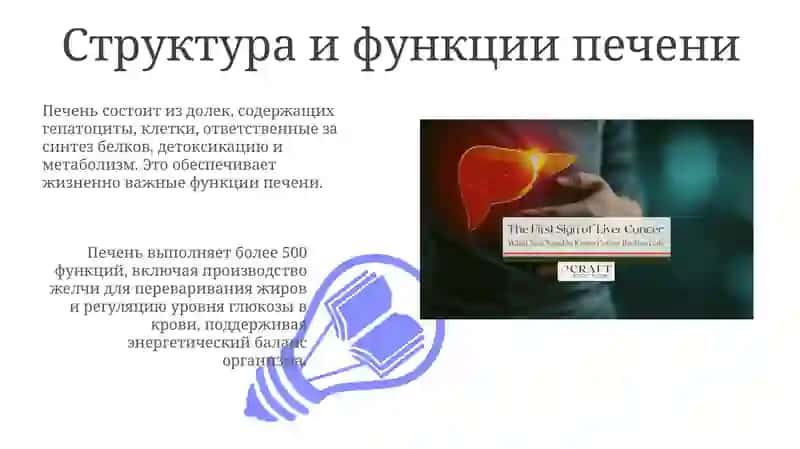 Анотомия ва клиник анатомия 3