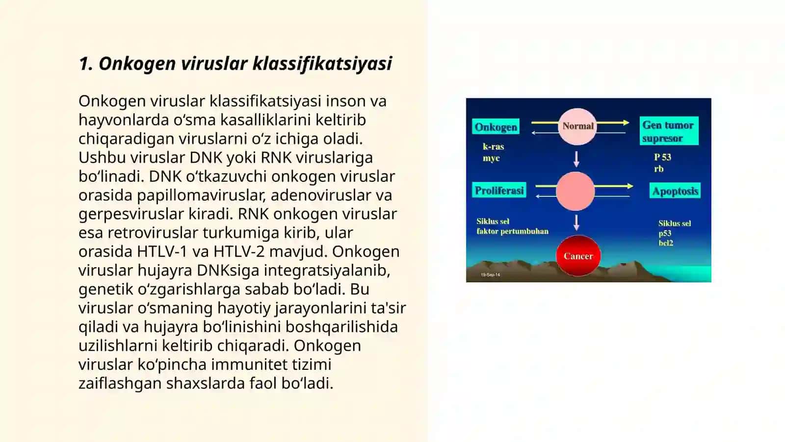Onkogen viruslar klassifikatsiyasi 3