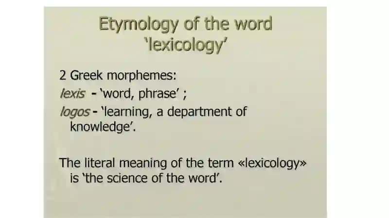 Lexicology as a branch of linguistics 3
