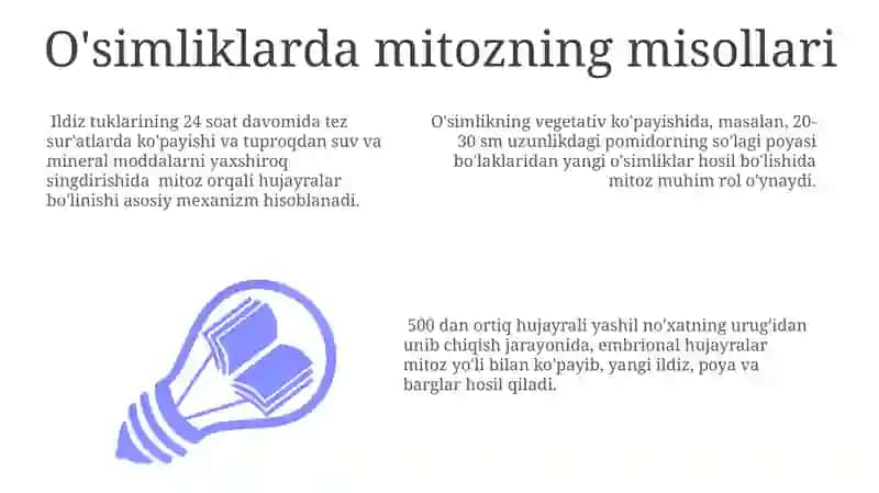 O'simliklarda mitozning ahamiyati 3