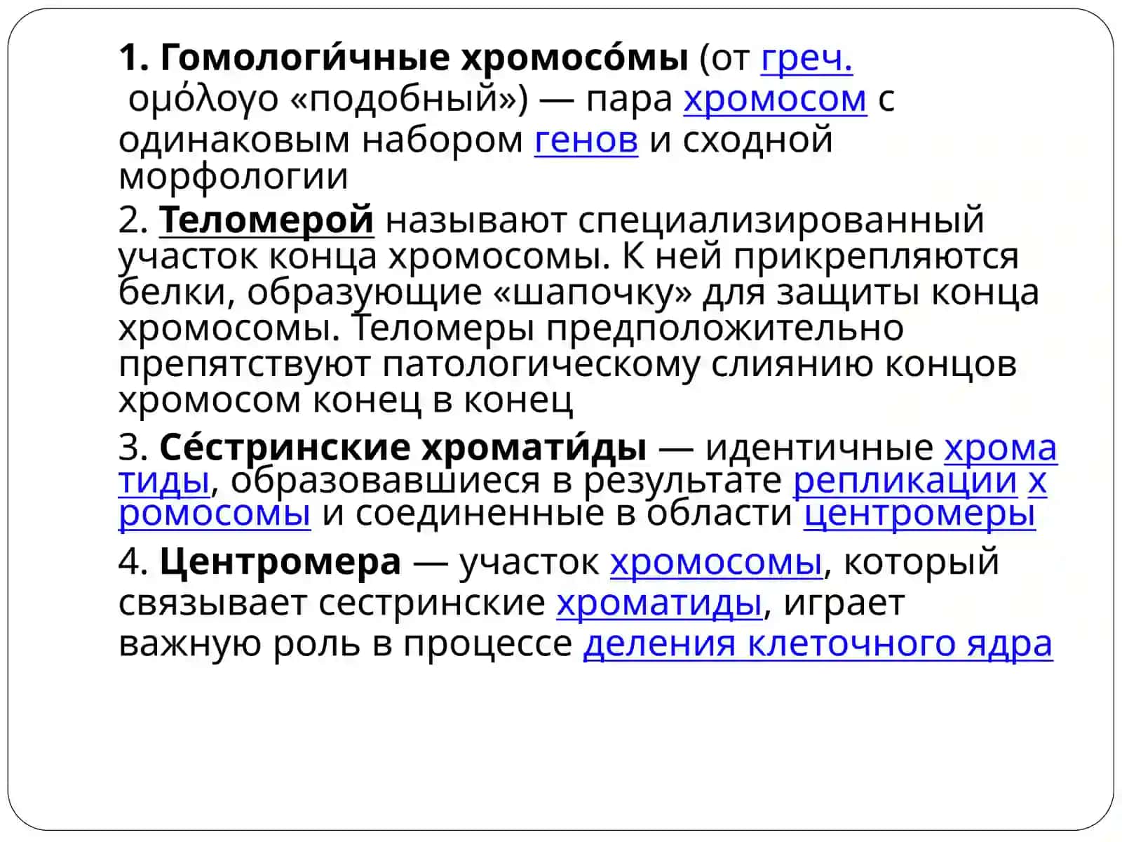 Митоз и мейоз 3