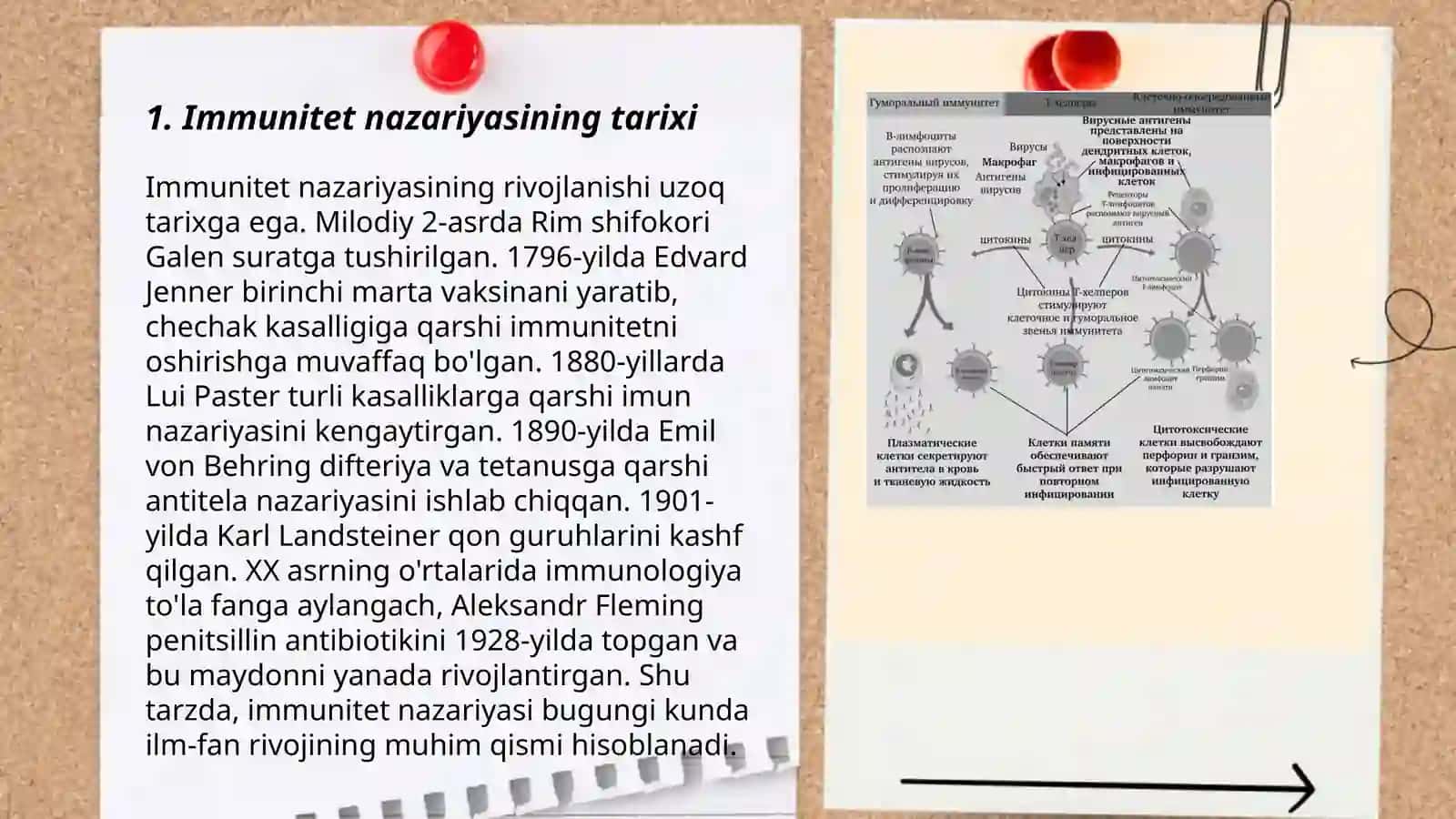 Immunitet nazariyasi 3