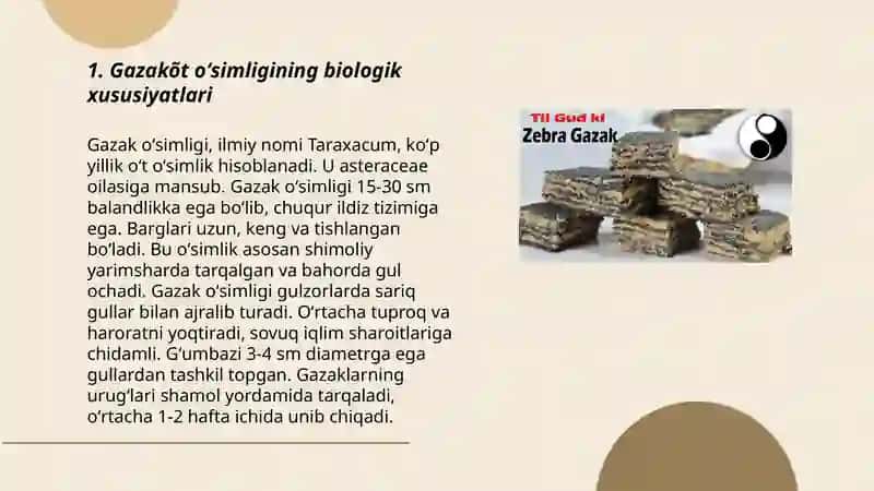 Gazakõt oʻsimligi 3
