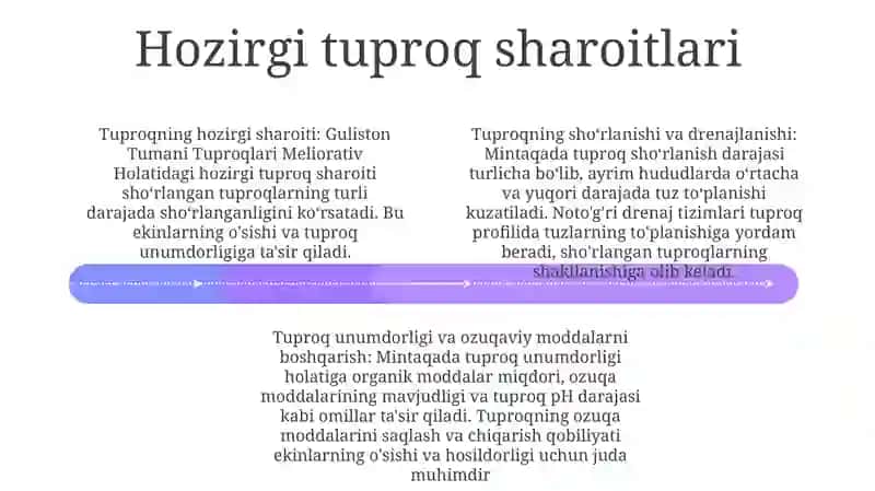 Guliston Tumani Tuproqlari Meliorativ Holati 3