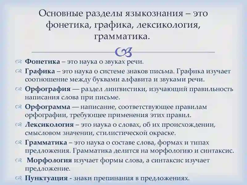 Введение в лингвистику (языкознание) 3