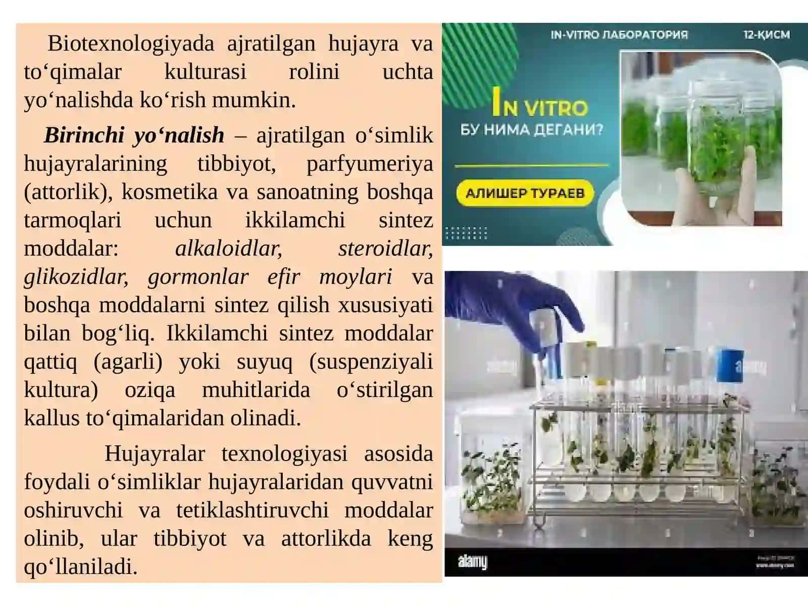 HUJAYRA VA TO‘QIMALAR BIOTEXNOLOGIYASI 3