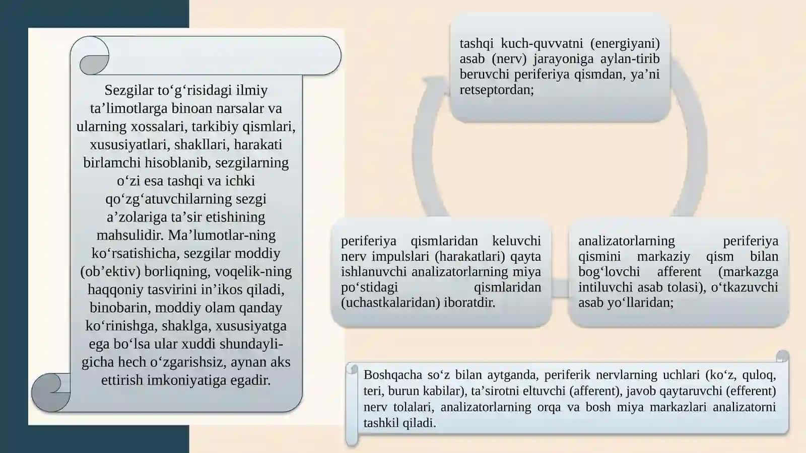 SEZGI VA IDROK UMUMIY TASAVVURLAR, YONDOSHUVLAR 3