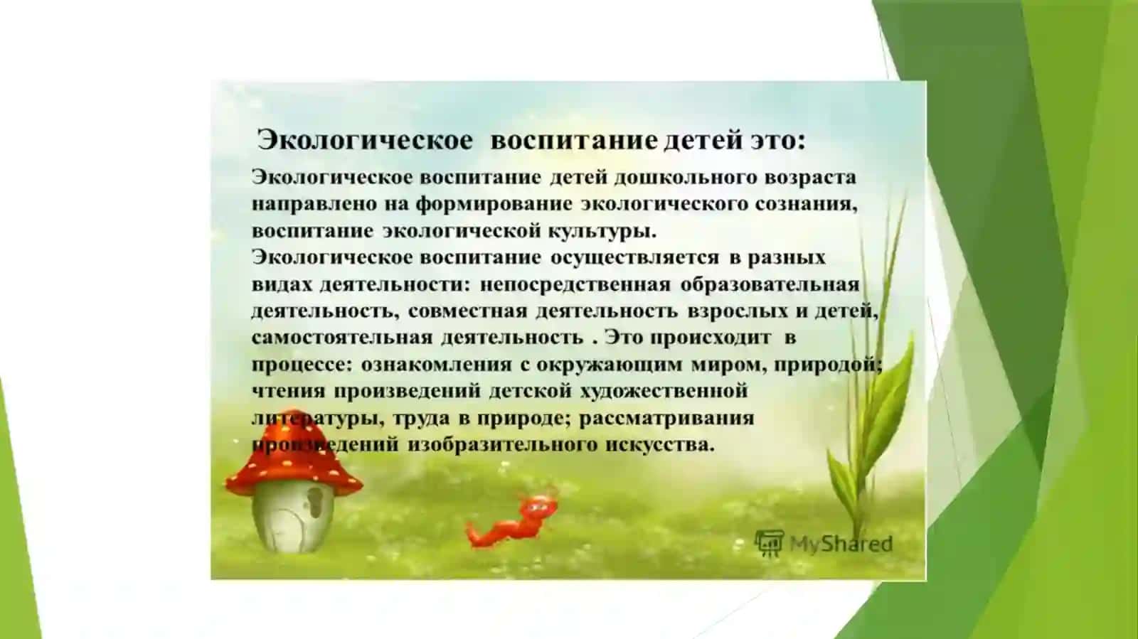 Формирование экологических представлений у детей дошкольного возраста 3