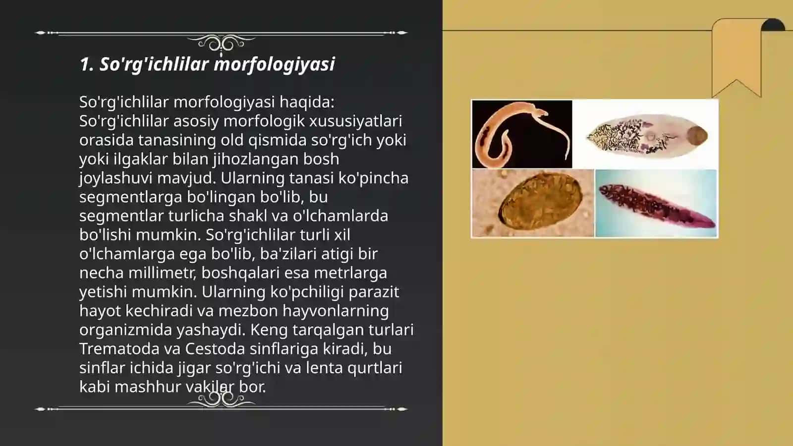 So'rg'ichlilar sinfi (TREMATODES) 3
