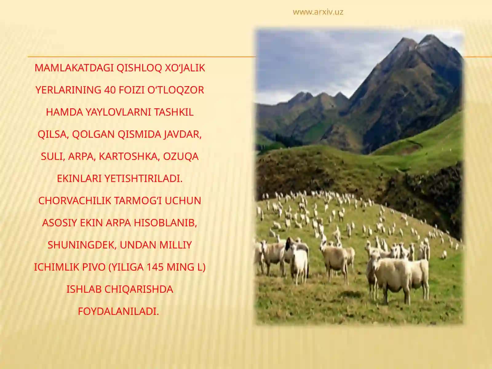 Germaniya qishloq xo’jaligi 3