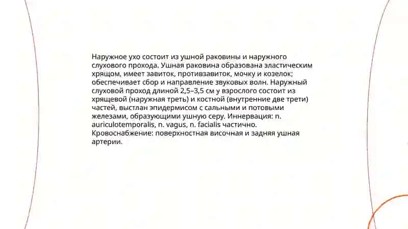 Органы слуха и обоняния 3