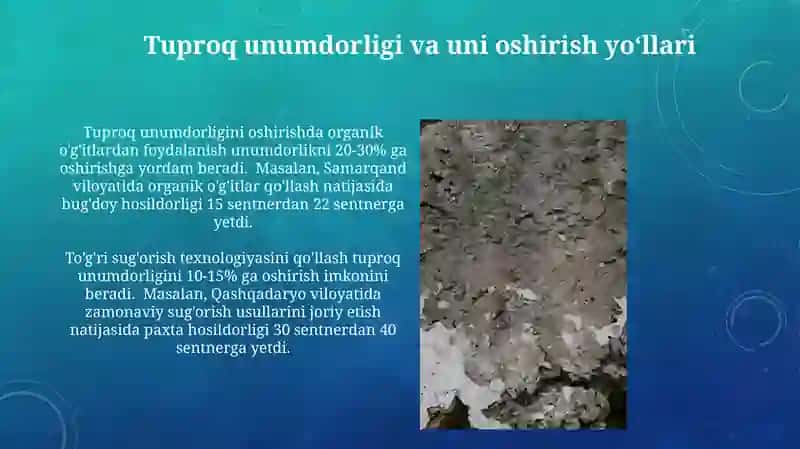 Tuproqlarning genetik tasnifi 3