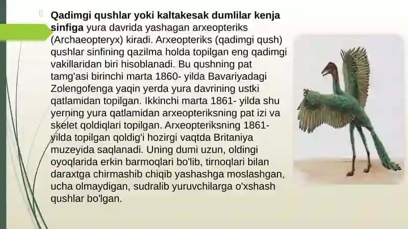 Qushlarning sistematikasi 3