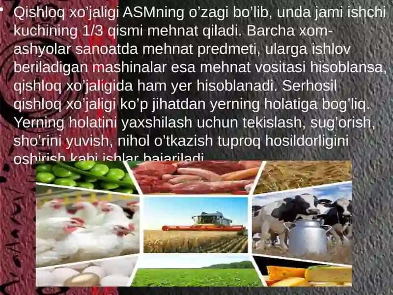 Qishloq xo'jaligi 3
