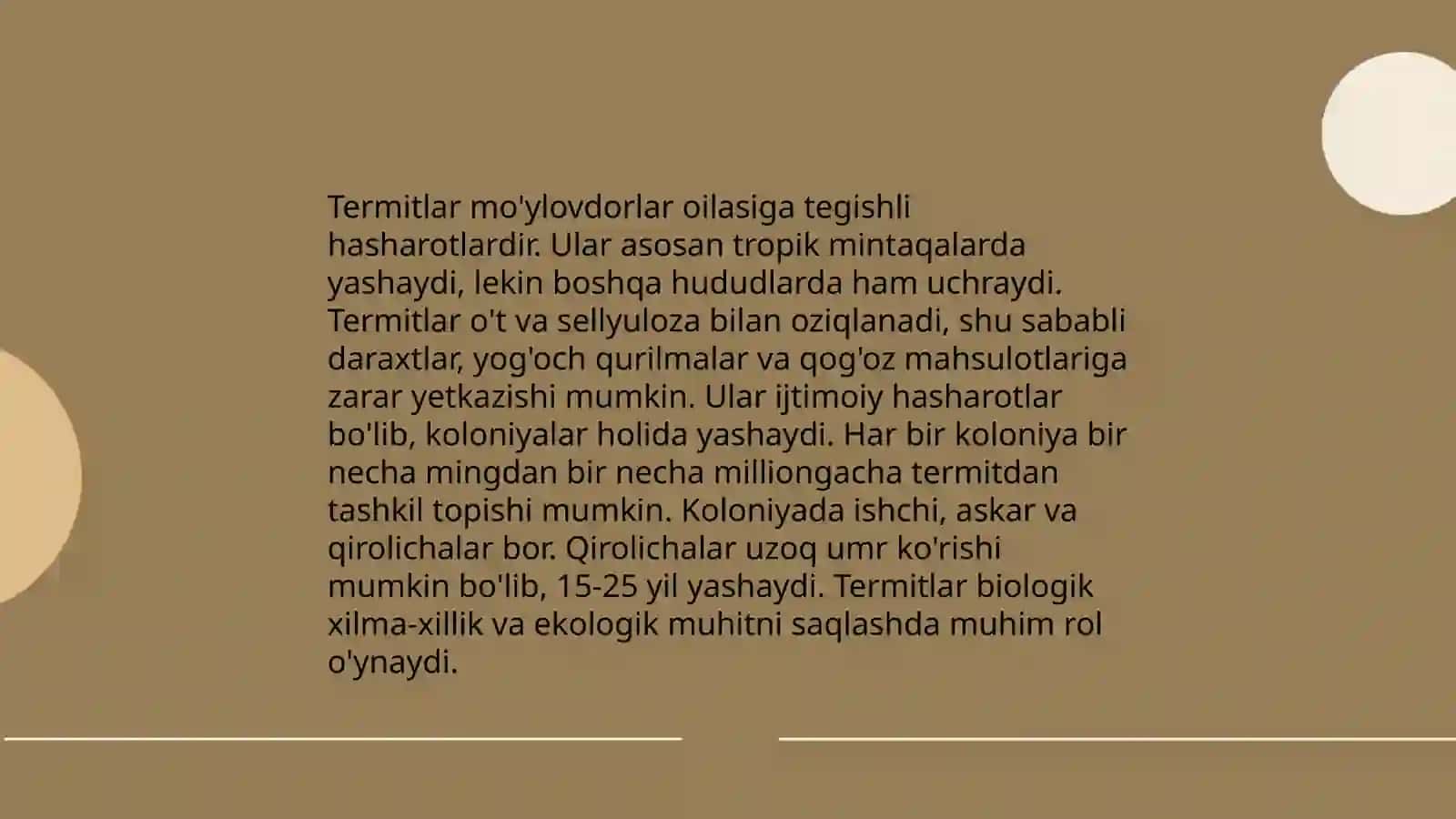 Termitlar Mo'ylovdorlar Biologiyasi 3