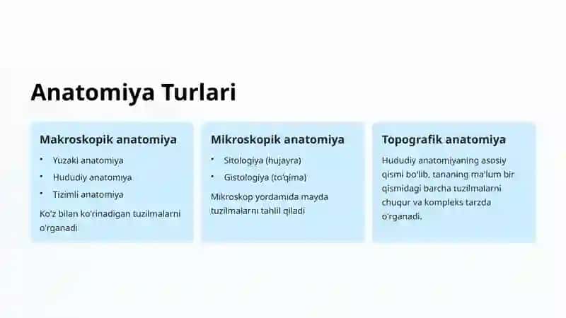 Topografik Anatomiya 3