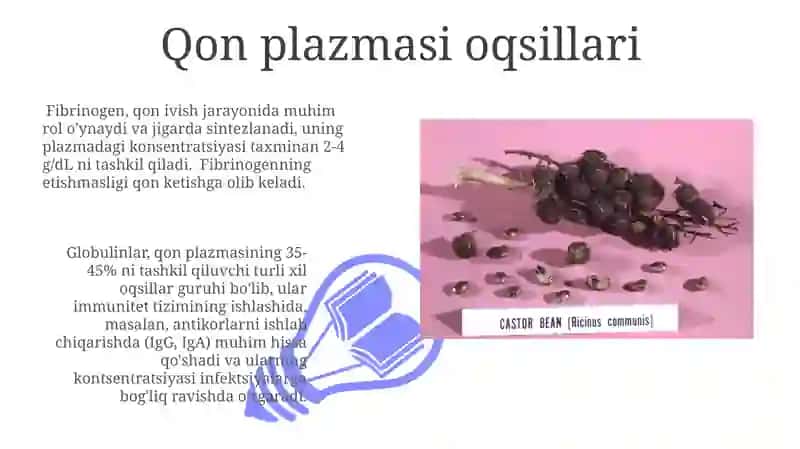 Qon plazmasi oqsillari 3