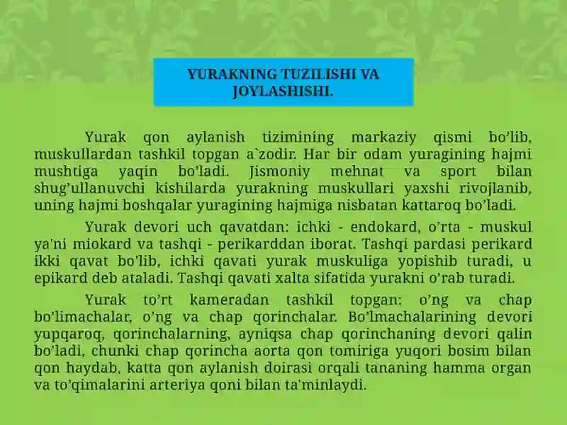 Maxsus pedagogika (logopediya) yo’nalishi 101 3