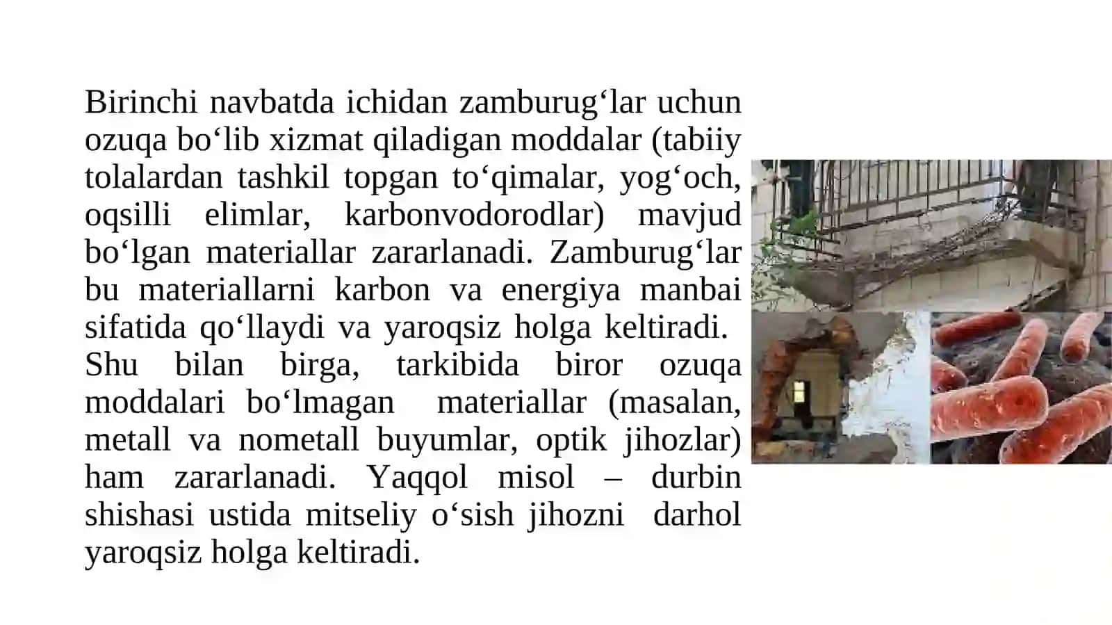BAKTERIYALAR VA ZAMBURUG’LAR- BIOZARARLANISH MANBALARI 3